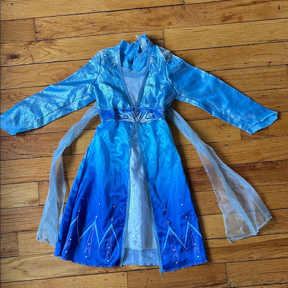 Disney Blue and Silver Princess Costume